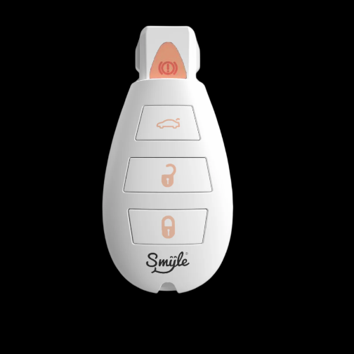 Smyle Car Key Penjamin Battery