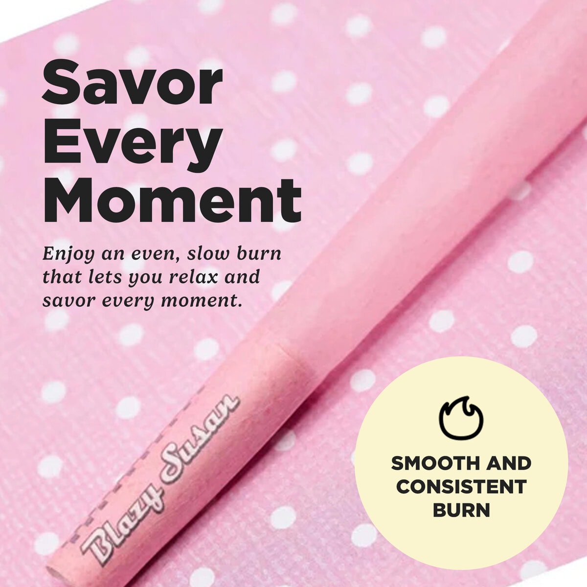 Blazy Susan Pink Cones 98mm (20 Pack)