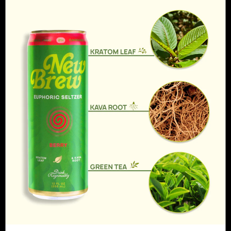New Brew Euphoric Seltzer 12oz