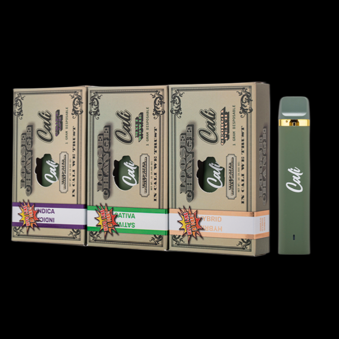 Cali Extrax Loose Change Disposable | 1 Gram