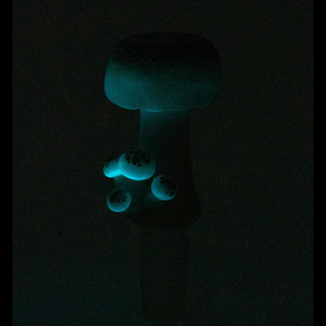 Empire Glassworks Mushroom Glow in the Dark Bowl Piece